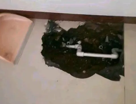 纳溪卫生间测漏水多少钱
